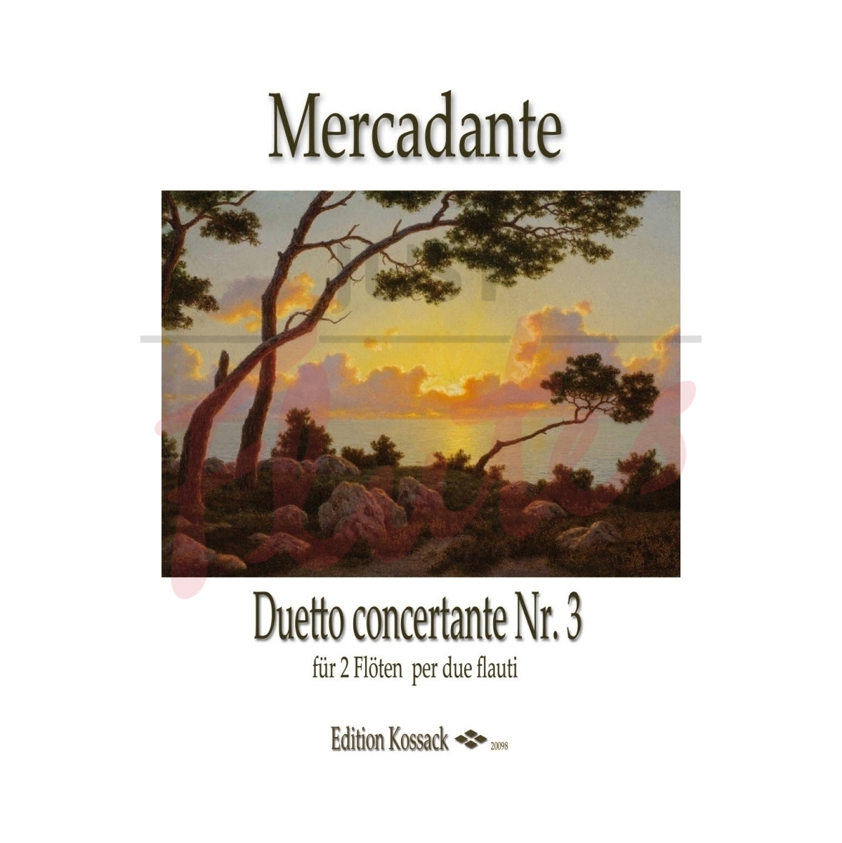 Duetto Concertante No 3