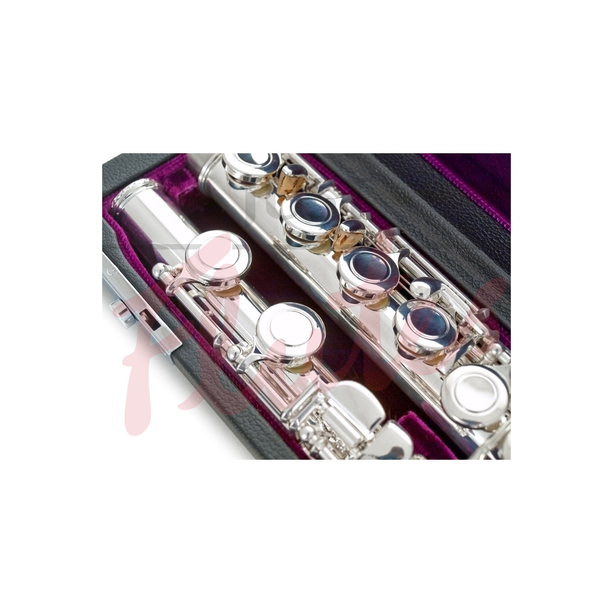 Trevor James "TJ10X" 3041EAW Flute. Just Flutes