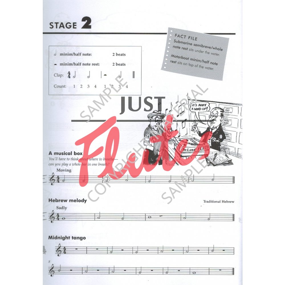 Sally Adams Flute Basics. Just Flutes, UK specialist store