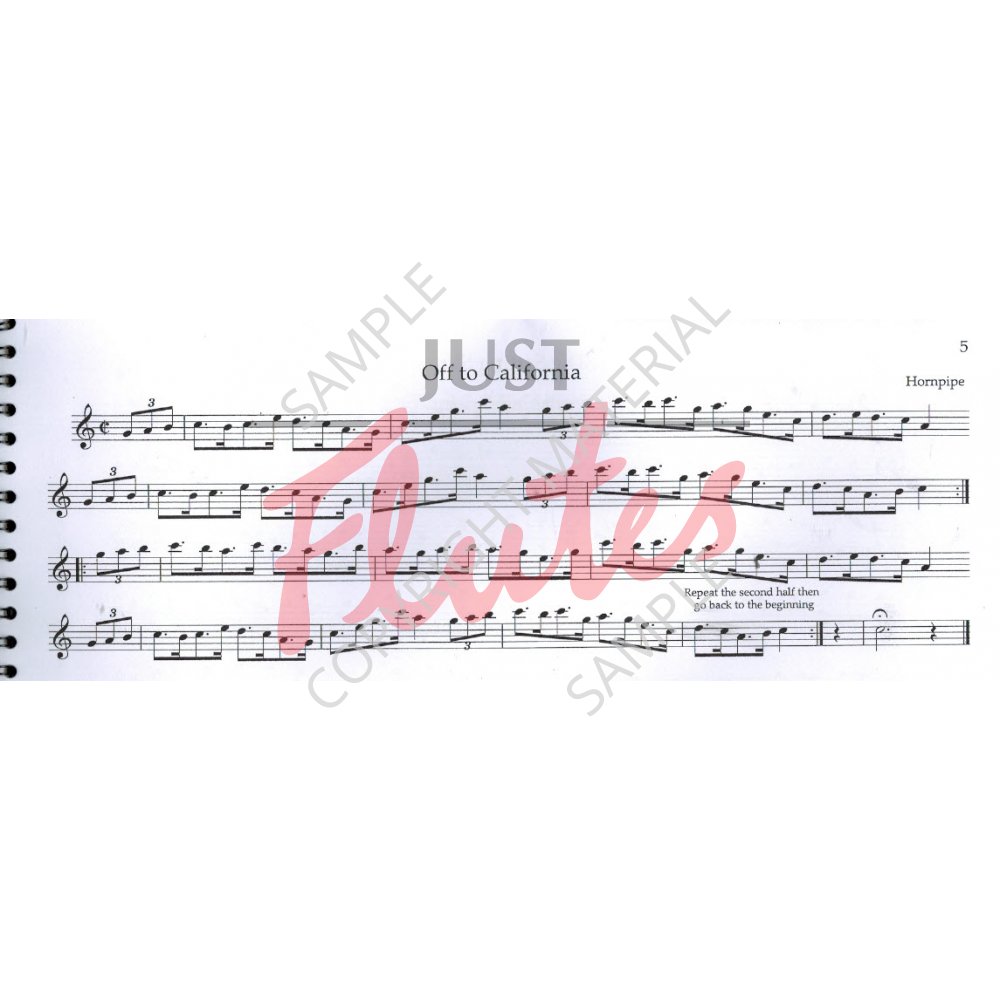 Traditional Traditional Irish Music for Treble Recorder