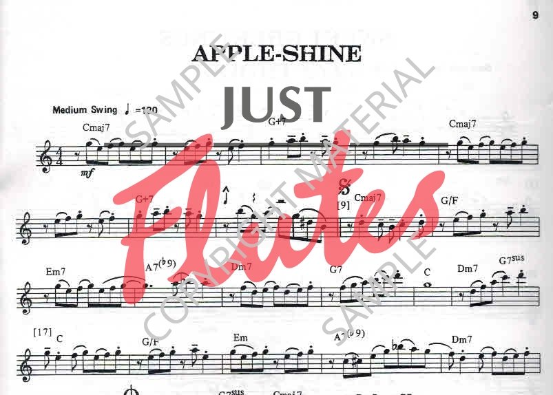 Bill 12 Intermediate Jazz Etudes for Flute