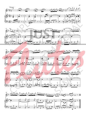 その他 Flute Concertos at Sanssouci [Blu-ray] [Import] Flute Concert with Frederick the Great at Sanssouci, 1852
