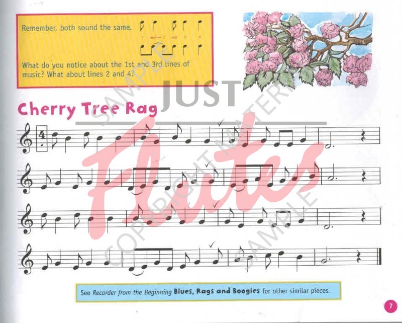 John Pitts Recorder from the Beginning Book 2 (Colour Edition) [Pupil