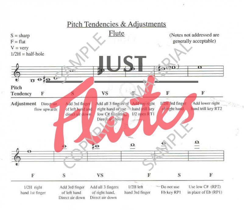 A Guide to Understanding and Correction of Intonation Problems