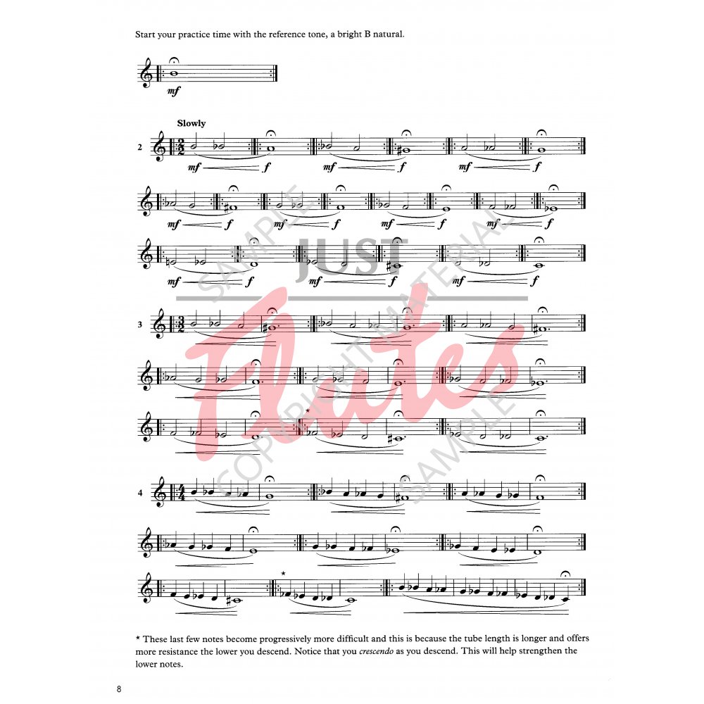 アート・デザイン・音楽 THE ORCHESTRAL FLUTE PRACTICE BOOK 1 The Orchestral Flute Practice Book 1 - T. Wye & P. Morris