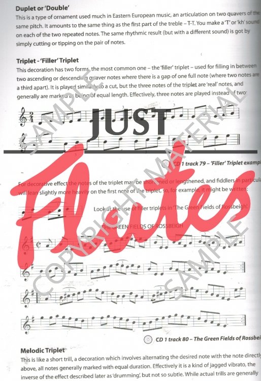 Fintan Vallely A Complete Guide to Learning the Irish Flute [with