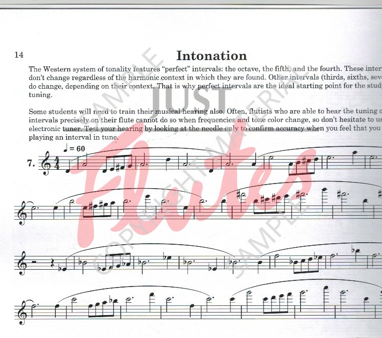 Nicola Mazzanti The Mazzanti Method Daily Exercises for Piccolo