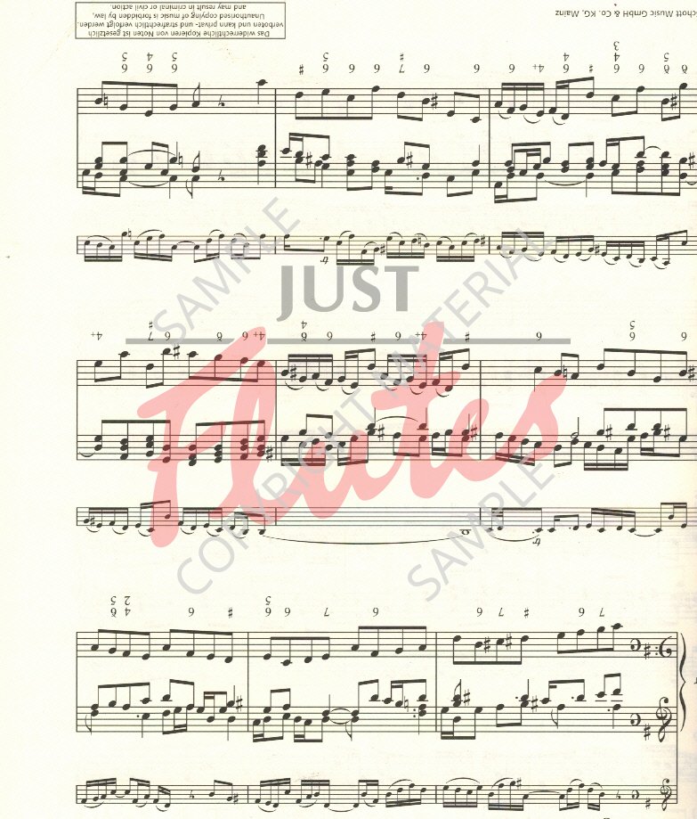 Compilation Best of Flute Classics 10 Famous Pieces for Flute and Piano