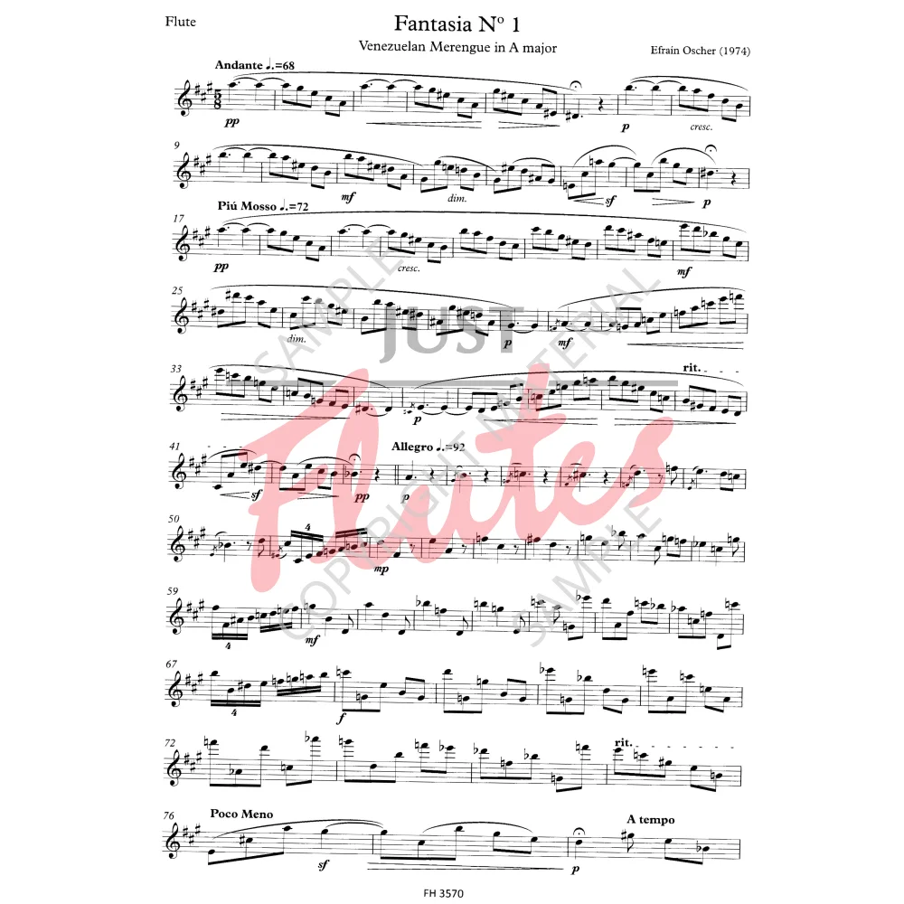 魅惑のラテン LATIN on Flute 魅惑のラテン LATIN on Flute 魅惑のラテン LATIN on Flute