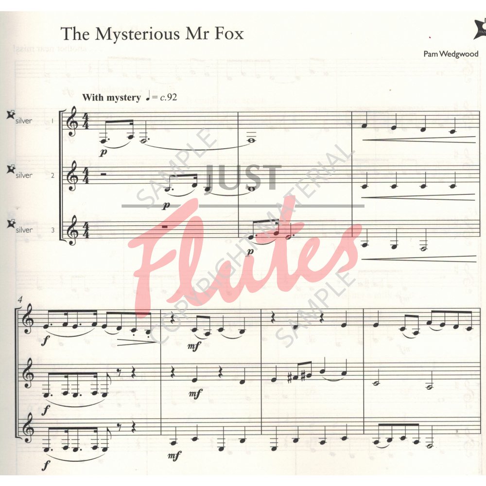 Music Medals Silver Clarinet Ensemble Pieces; Music Medals Ensemble Book