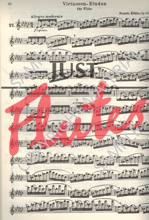 Compilation Melodious & Progressive Studies for Flute