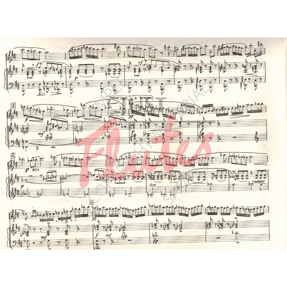 Otar Gordeli Flute Concerto, Op8. Just Flutes, London