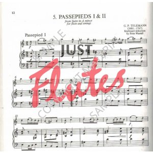 flute repertoire essentials flute repertoire essentials